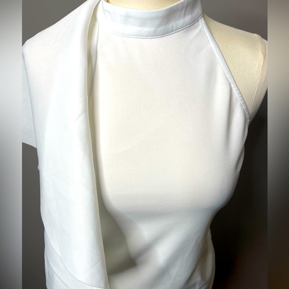 Sexy One Shoulder Dress with Cascading Ruffled Sleeve - Picture 11 of 11